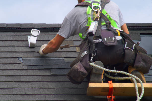 Best Storm Damage Roof Repair  in Forest Heights, TX