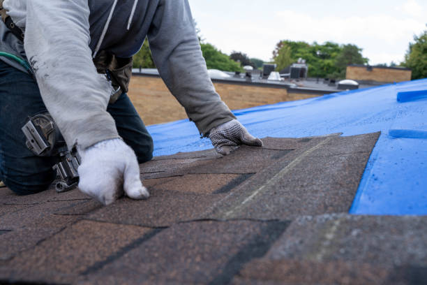 Best Metal Roofing Contractor  in Forest Heights, TX