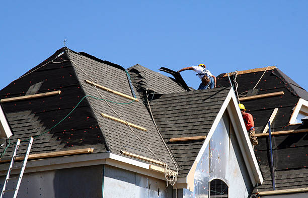 Best Roof Leak Repair  in Forest Heights, TX