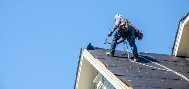 Best Storm Damage Roof Repair  in Forest Heights, TX